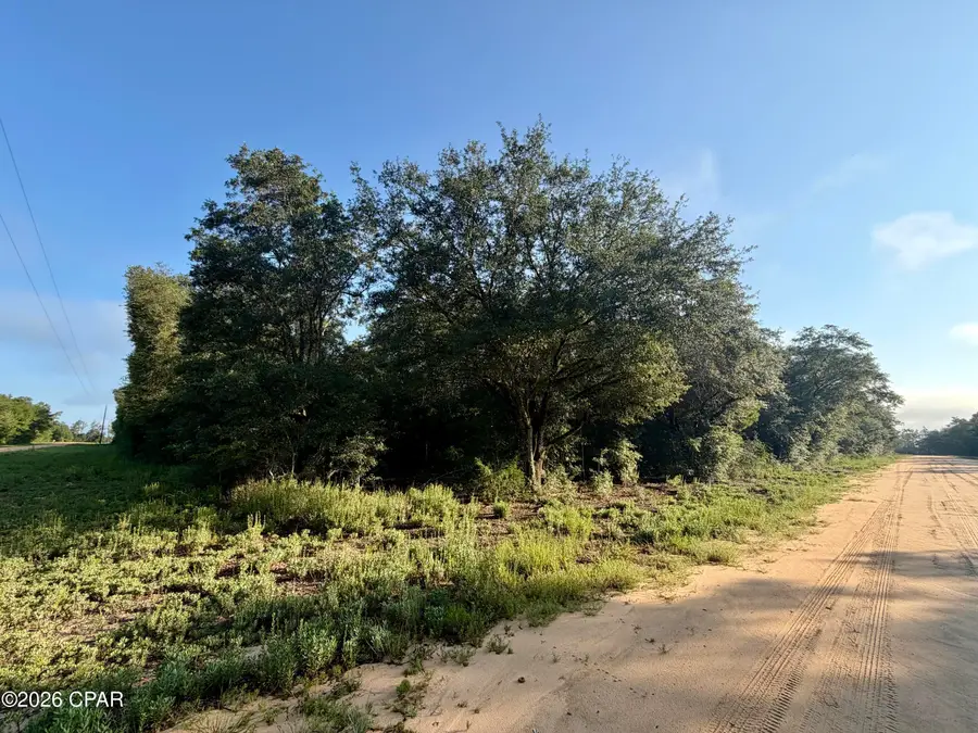 Lot 16 Osceola Drive, Marianna, FL 32448 - #2
