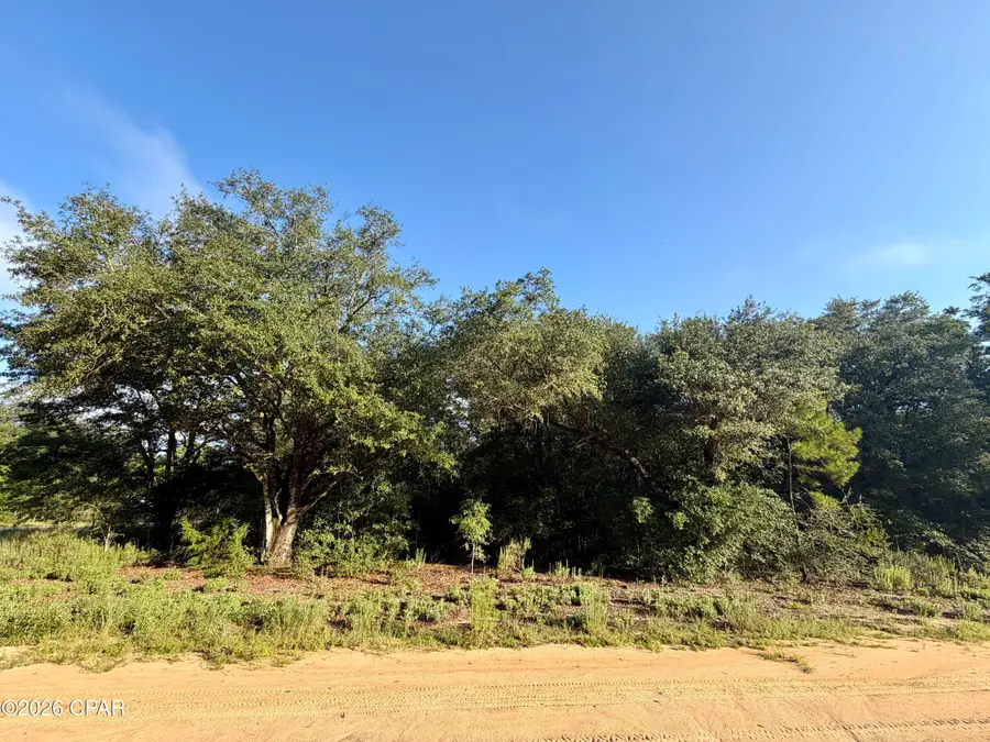 Lot 16 Osceola Drive, Marianna, FL 32448 - #3