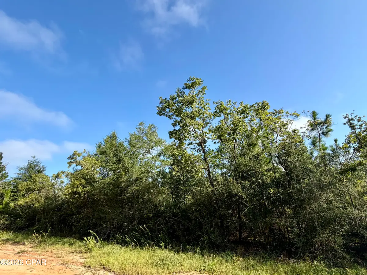 Lots 2 & 3 Rincon Street, Alford, FL 32420 - #1