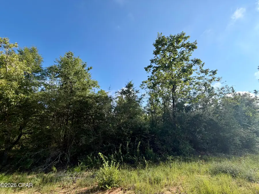 Lots 2 & 3 Rincon Street, Alford, FL 32420 - #2
