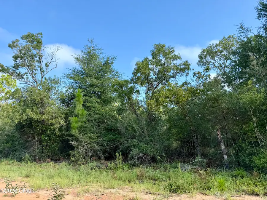 Lots 2 & 3 Rincon Street, Alford, FL 32420 - #3