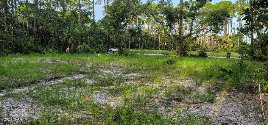 14 Waters Edge Drive, Port Saint Joe, FL 32456 - #3