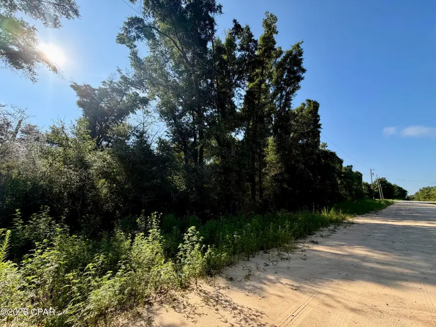 Lots 20-22 Sorrento Avenue, Alford, FL 32420 - #3