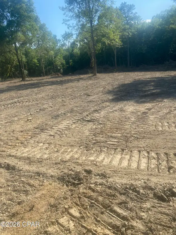 Lot 54 Reedy Creek Crossing #Lot 54, Westville, FL 32464