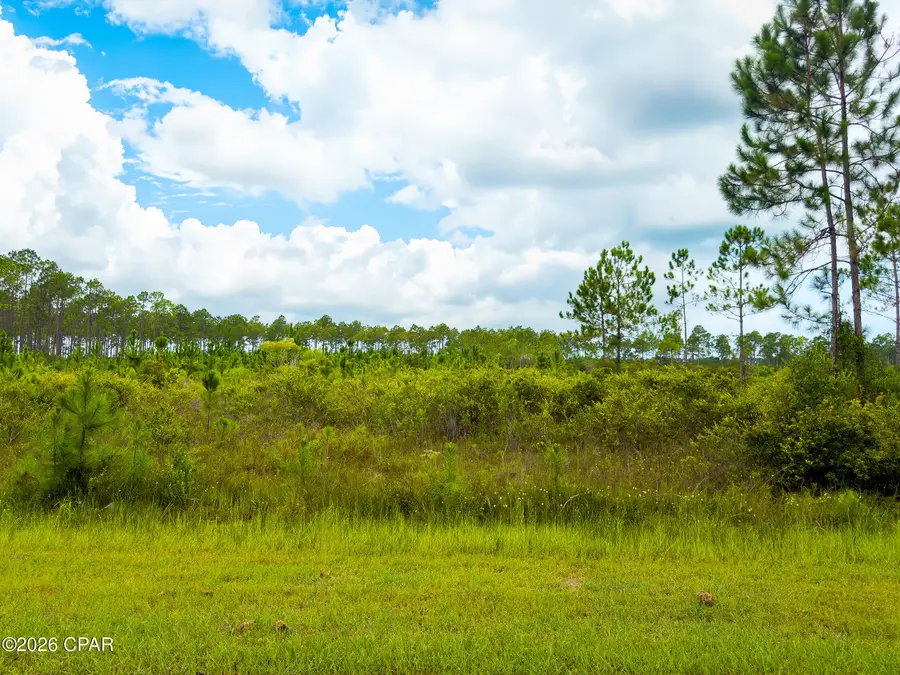 195 Jones Homestead Road, Port Saint Joe, FL 32456 - #2