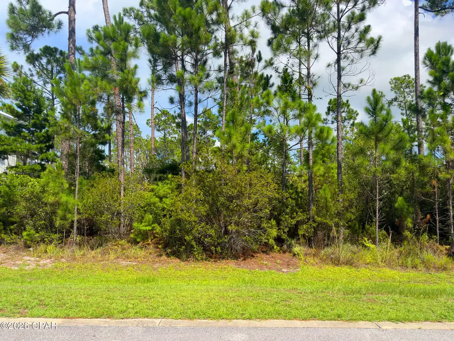 106 Sea Turtle Drive, Port Saint Joe, FL 32456 - #2