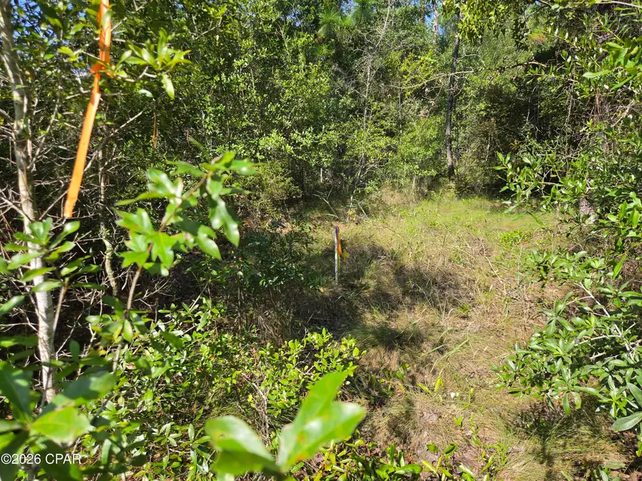 0000 Quail Ridge Drive, Chipley, FL 32428 - #2