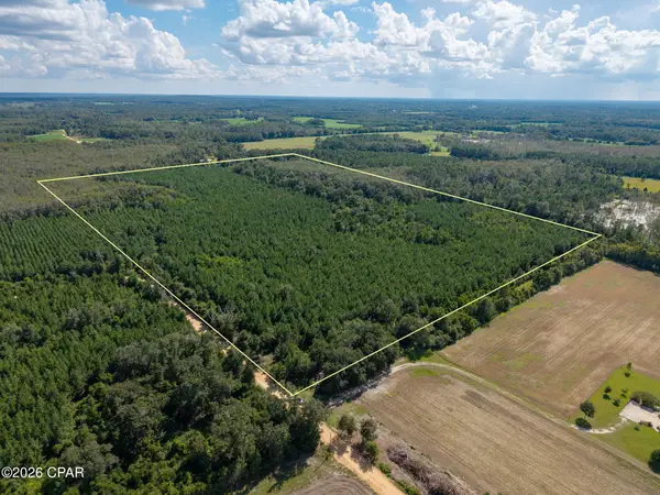 XXX New Prospect Road, Chipley, FL 32428