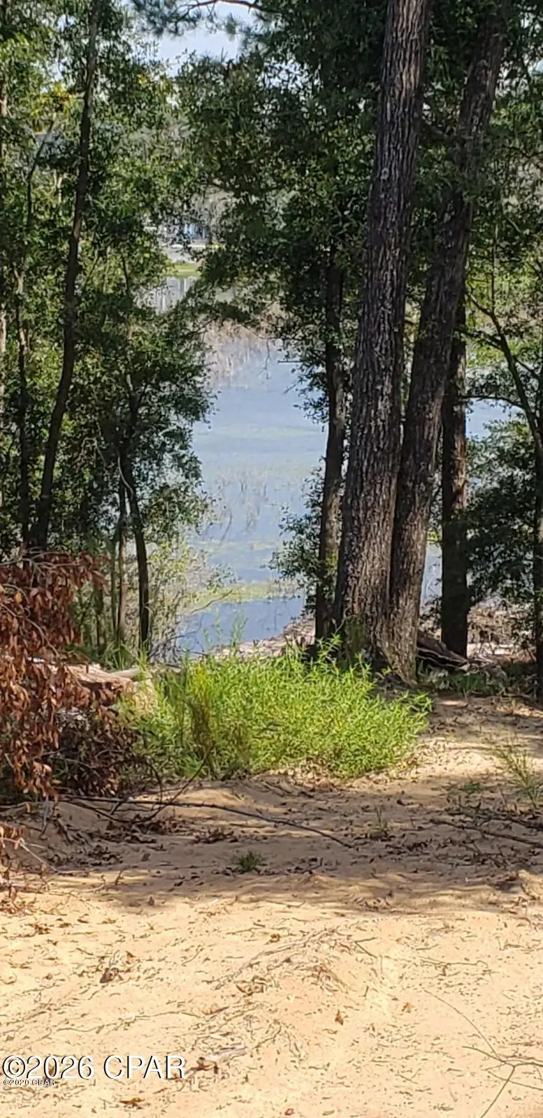 000 - 000 Woodymarion Drive #Lots 99 & 100, Chipley, FL 32428 - #2