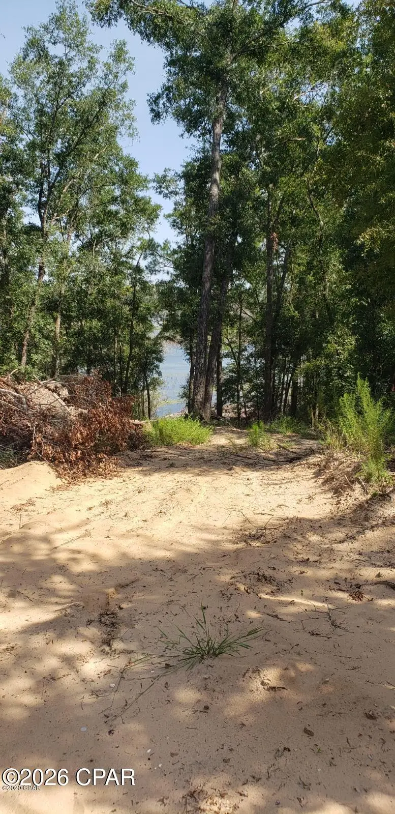 000 - 000 Woodymarion Drive #Lots 99 & 100, Chipley, FL 32428 - #3