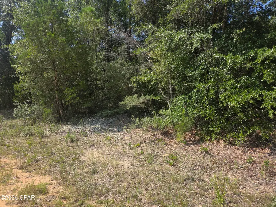 LOT 19 Dorcas Road, Marianna, FL 32448 - #3