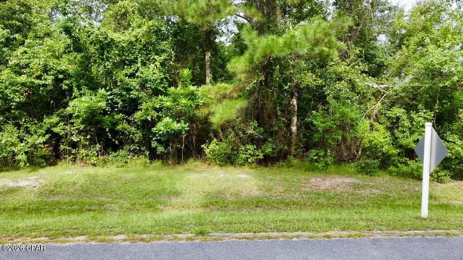 113 Little River Circle, Wewahitchka, FL 32465 - #2