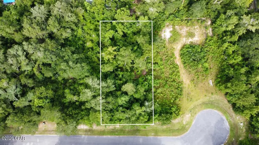 113 Little River Circle, Wewahitchka, FL 32465 - #3