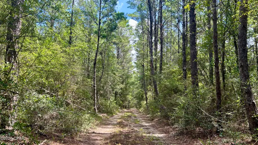 A Trawick Creek Road, Holt, FL 32564 - #3
