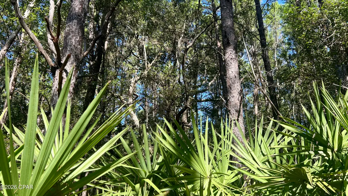 B Trawick Creek Road, Holt, FL 32564 - #1
