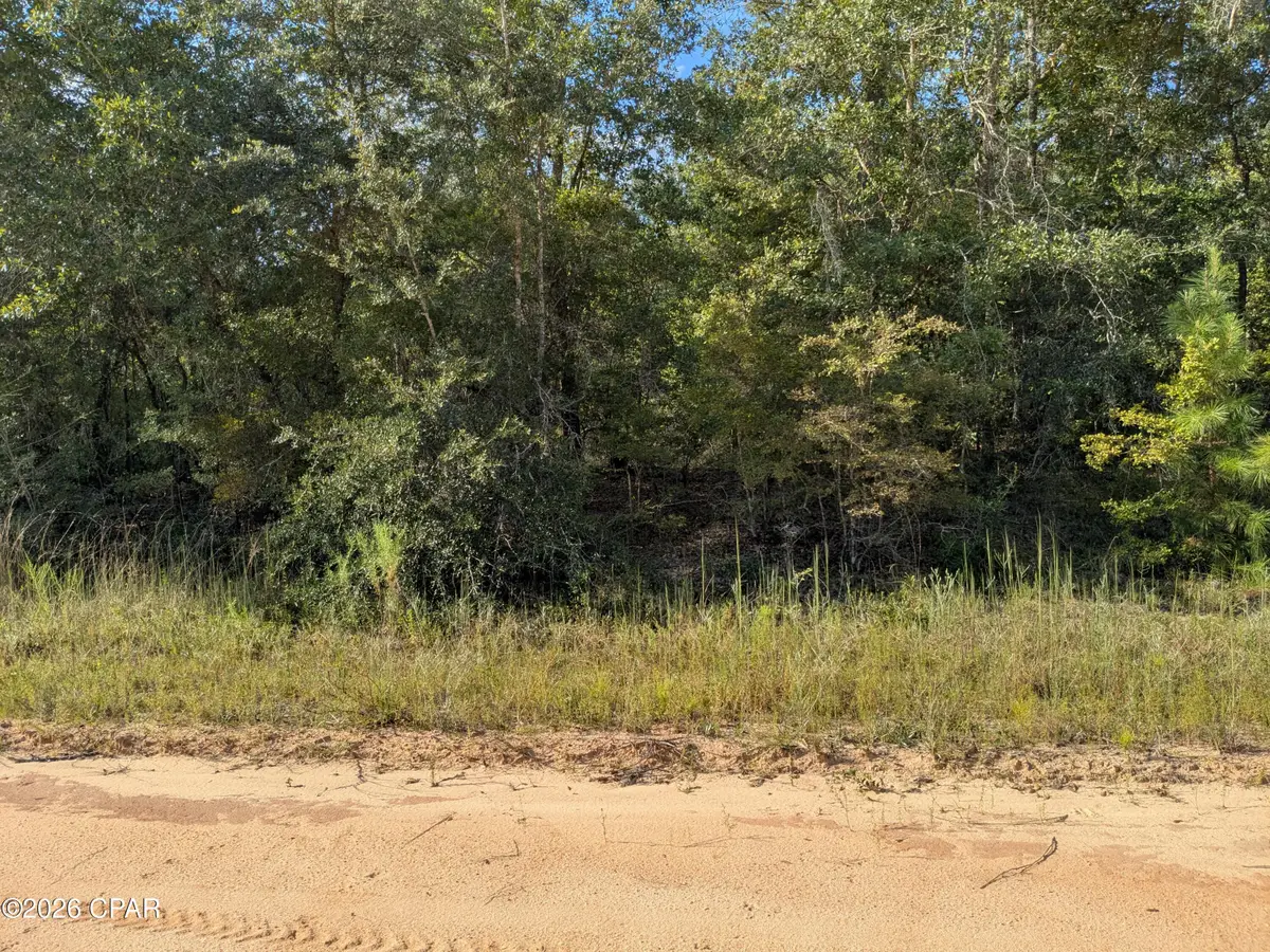 0 Hillside Drive, Marianna, FL 32448 - #1