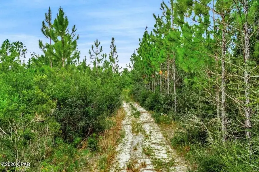 17012 Aawsaw Lane, Fountain, FL 32438 - #3