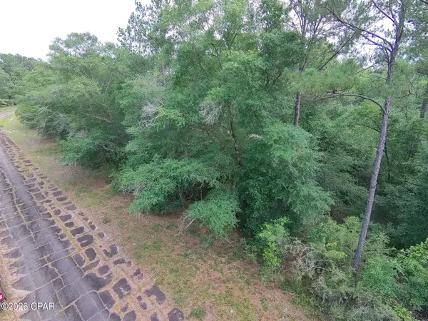 LOT 38 Birchwood Drive, Chipley, FL 32428