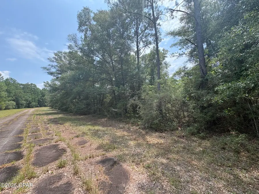 LOT 38 Birchwood Drive, Chipley, FL 32428 - #3