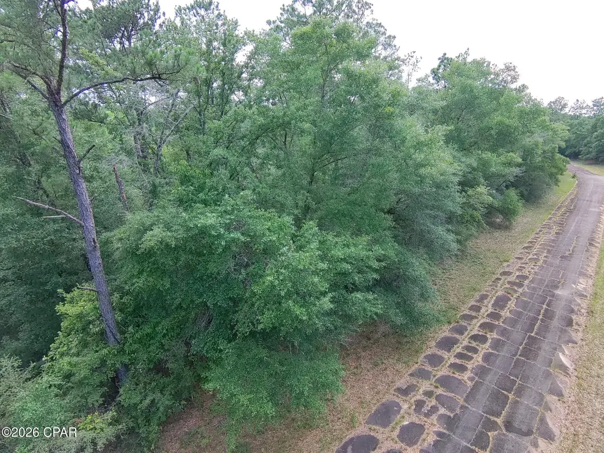 LOT 39 Birchwood Drive, Chipley, FL 32428 - #1