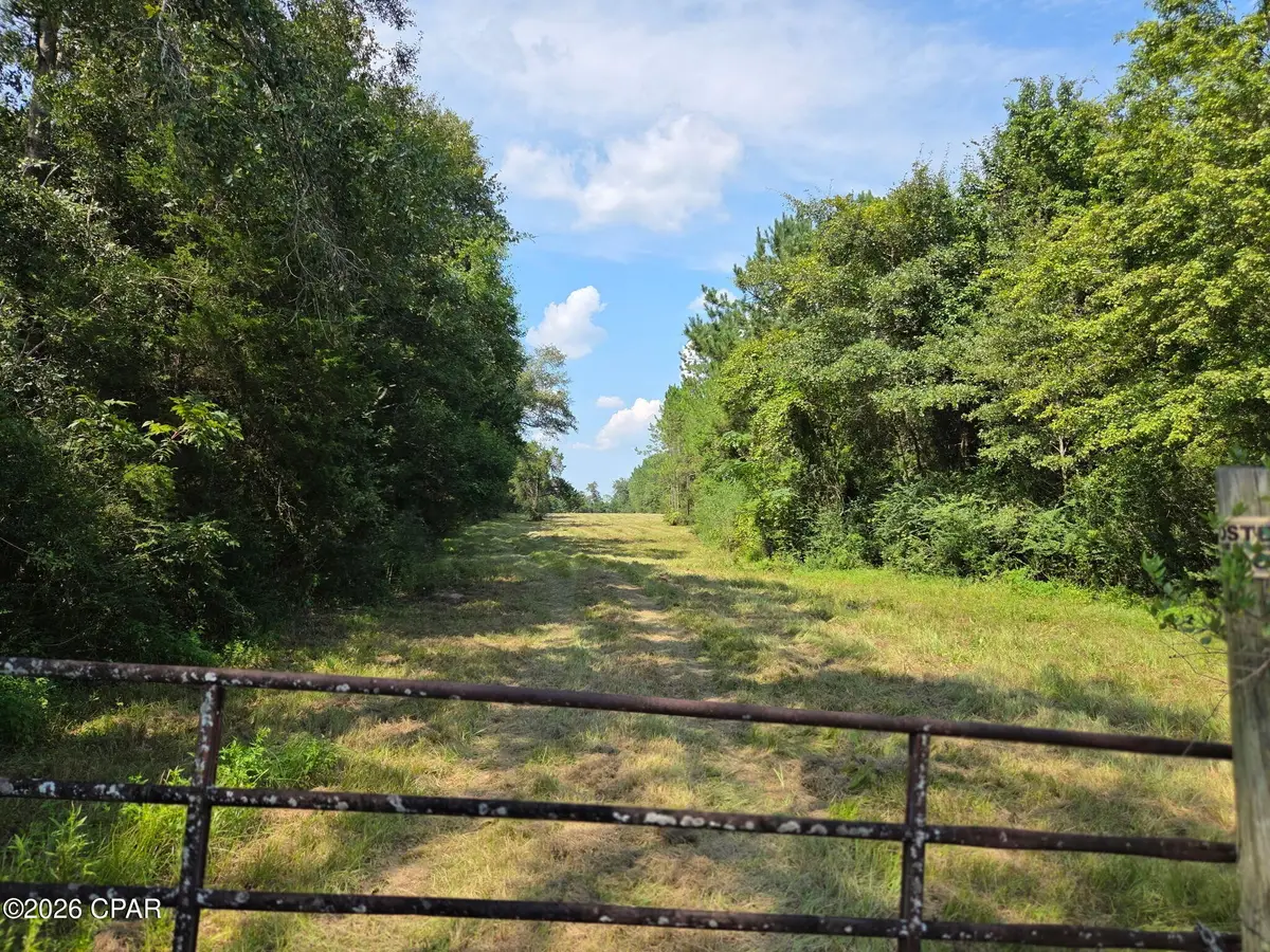 TBD Poplar Head Road, Bonifay, FL 32425 - #1