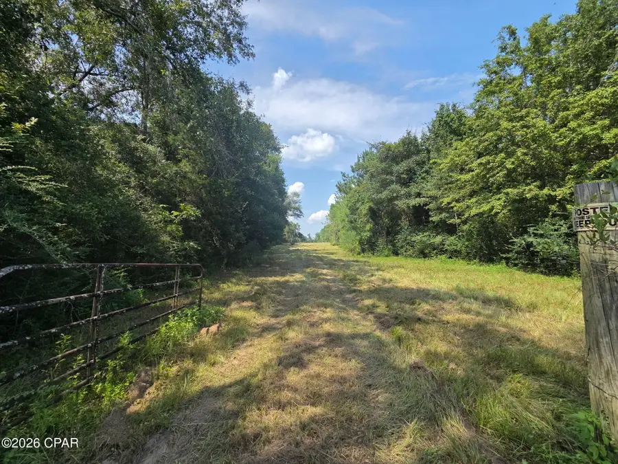 TBD Poplar Head Road, Bonifay, FL 32425 - #2