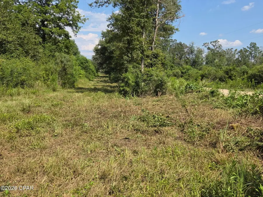 TBD Poplar Head Road, Bonifay, FL 32425 - #3