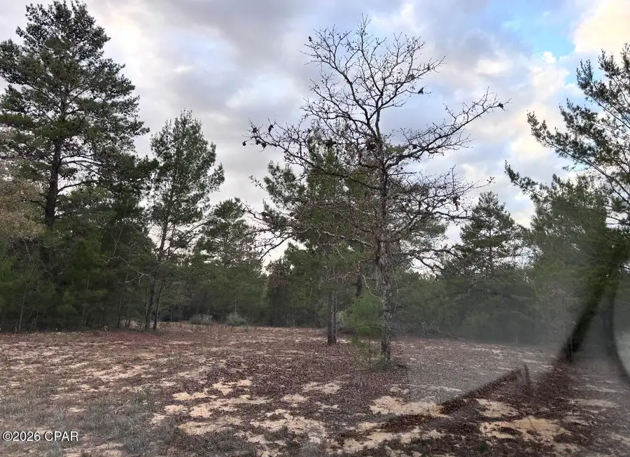 00 Fairhaven Drive #Lot 10, Chipley, FL 32428 - #3