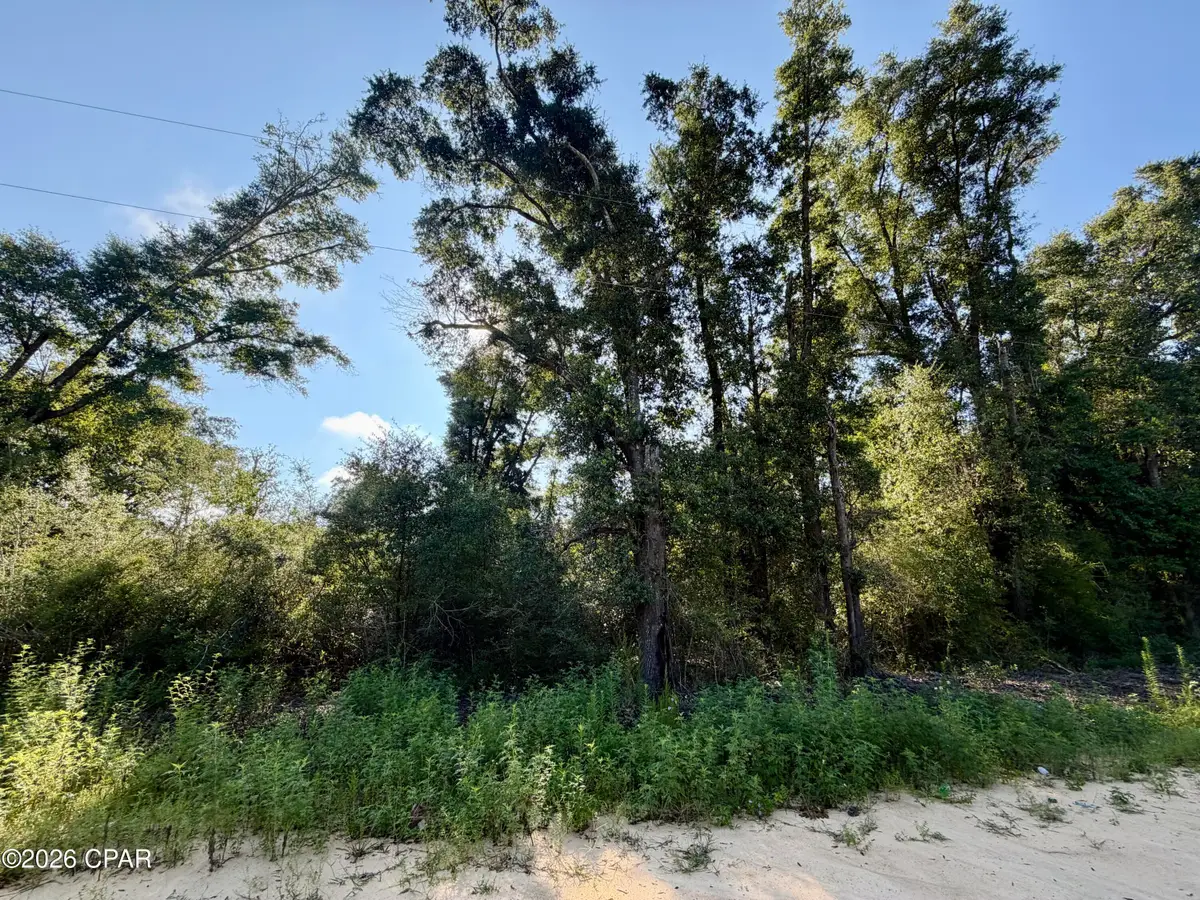 Lot 20 Sorrento Avenue, Alford, FL 32420 - #1