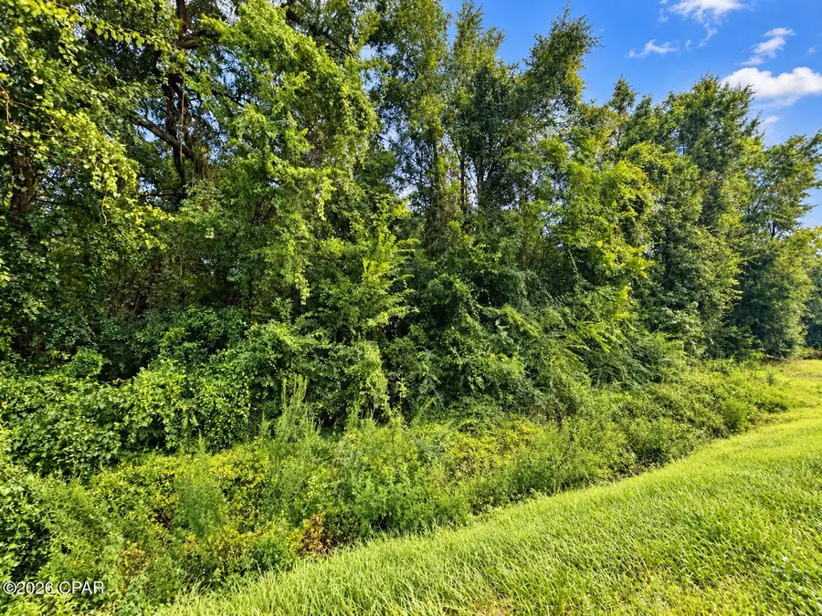 TBD Highway 162 Highway, Marianna, FL 32446 - #2