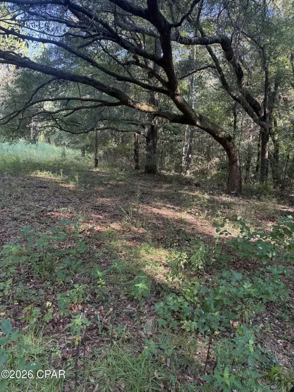 0 Jacob Road, Cottondale, FL 32431