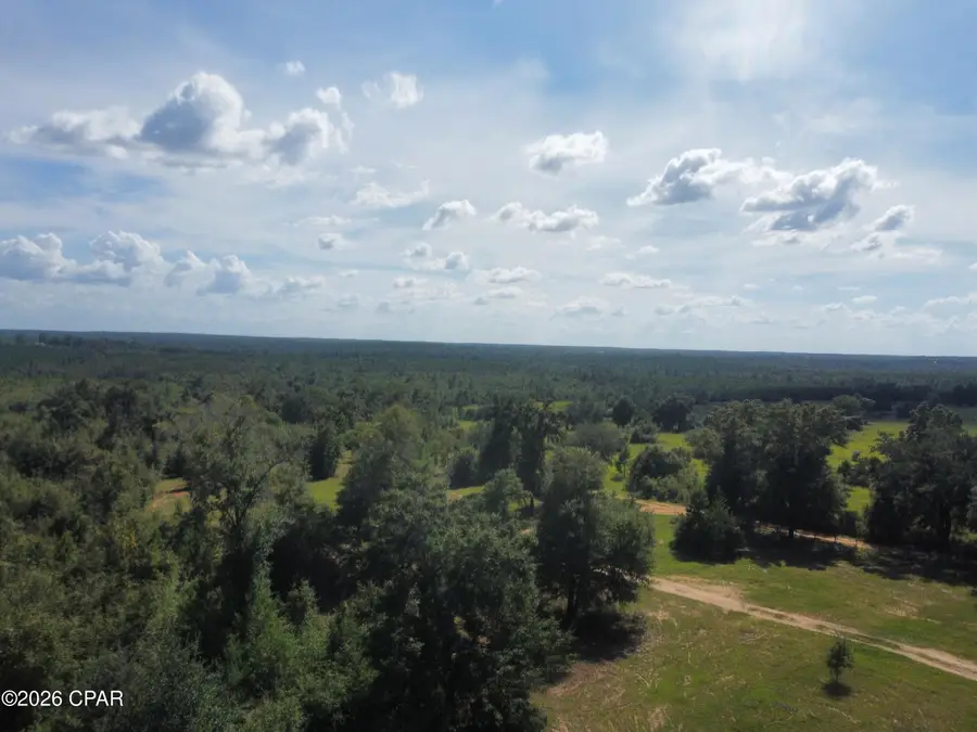 0000 NW La Follette Lane, Altha, FL 32421 - #2