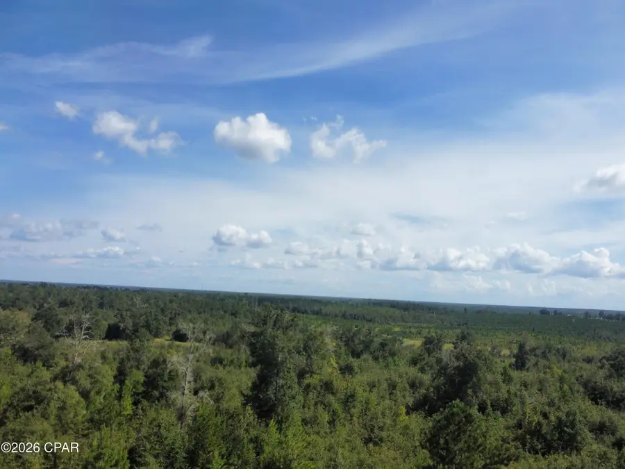 0000 NW La Follette Lane, Altha, FL 32421 - #3