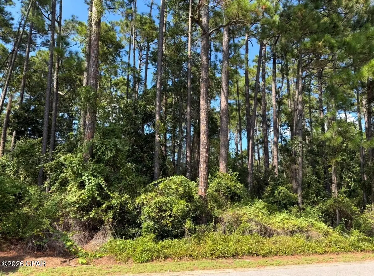 Lot 2 Cox Road, Santa Rosa Beach, FL 32459 - #1