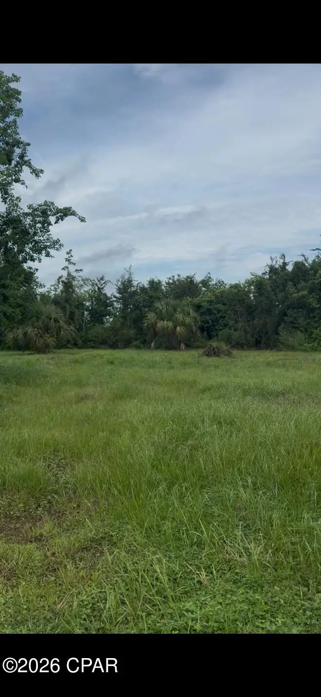 410 Carolina Avenue, Lynn Haven, FL 32444 - #2