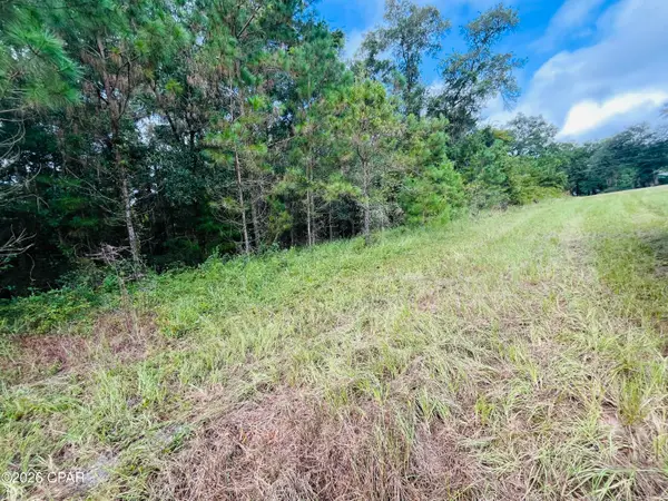 138 Bradwell Lane, Midway, FL 32343
