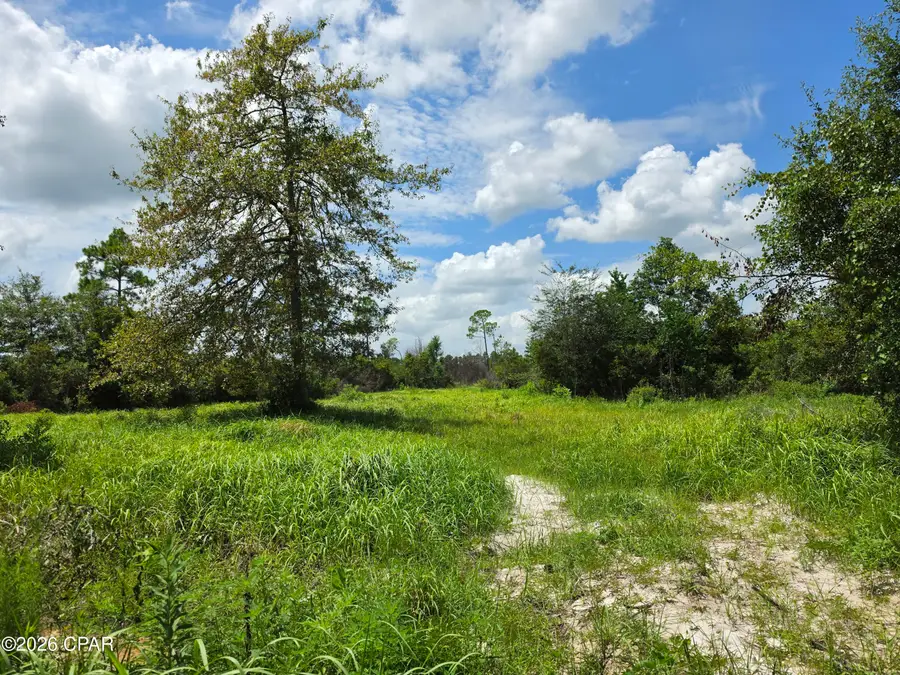 10850 Alex Drive, Fountain, FL 32438 - #3