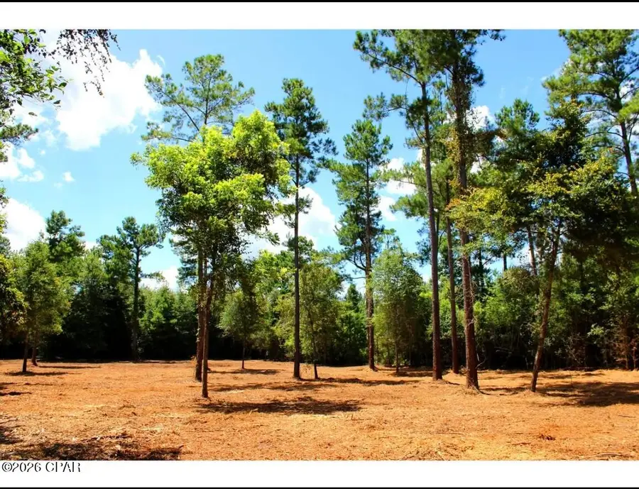 00 Reserve Drive, Marianna, FL 32446 - #3