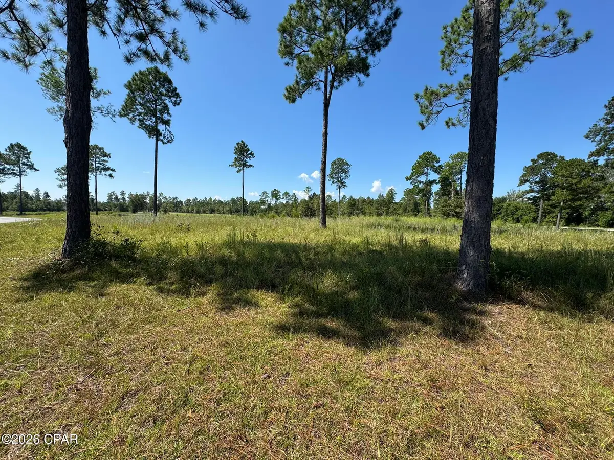 0000 Cross Country Boulevard, Marianna, FL 32446 - #1