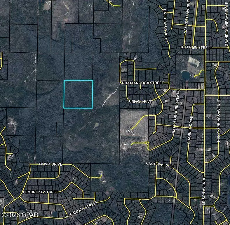 TBD Olivia Dr, Marianna, FL 32448 - #1