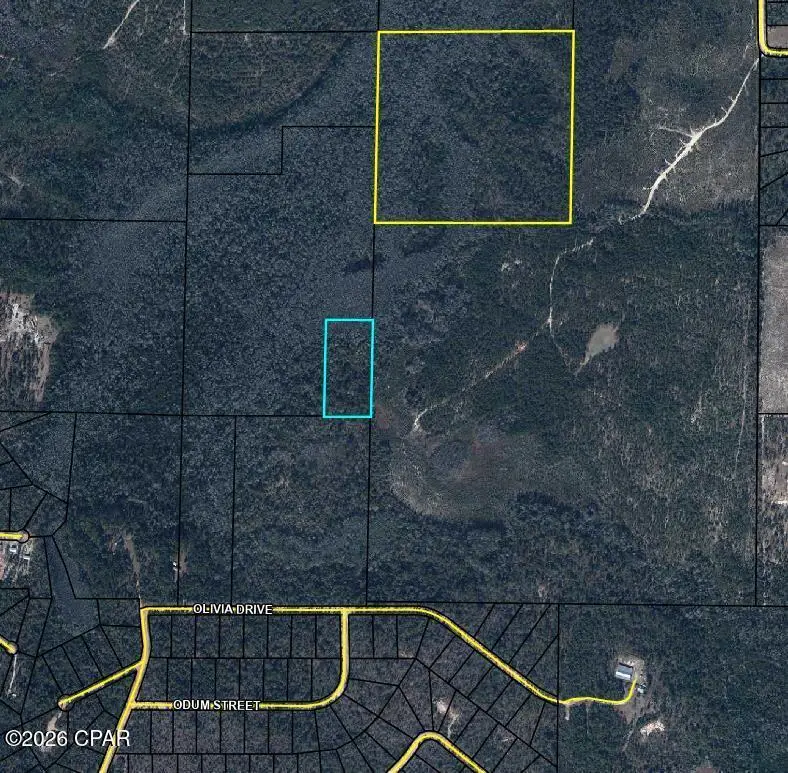 TBD Olivia Drive, Marianna, FL 32448 - #1