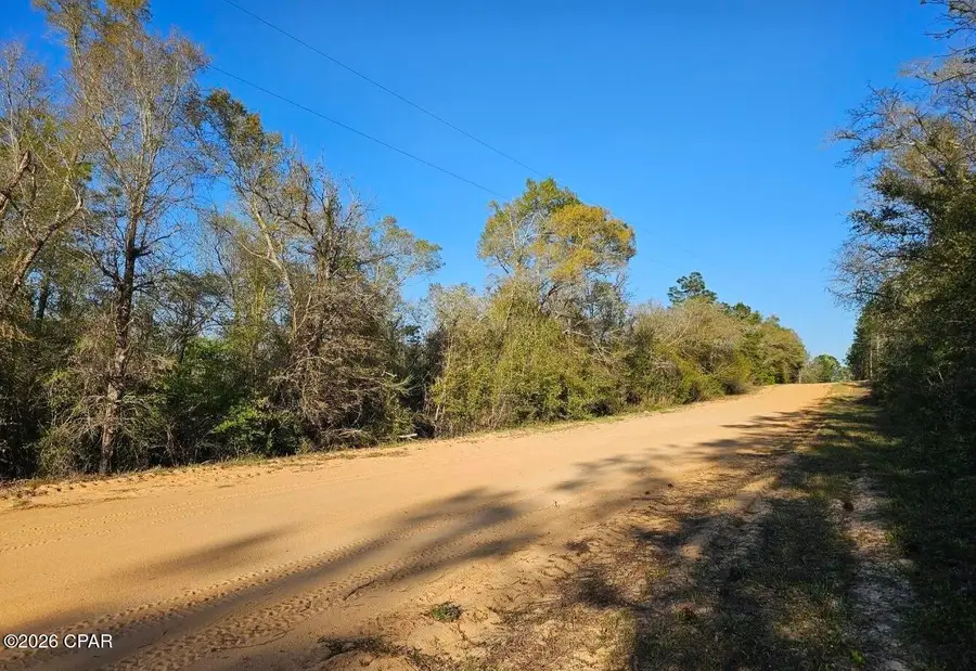 TBD Olivia Drive, Marianna, FL 32448 - #2