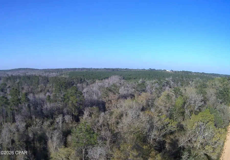 TBD Olivia Drive, Marianna, FL 32448 - #3