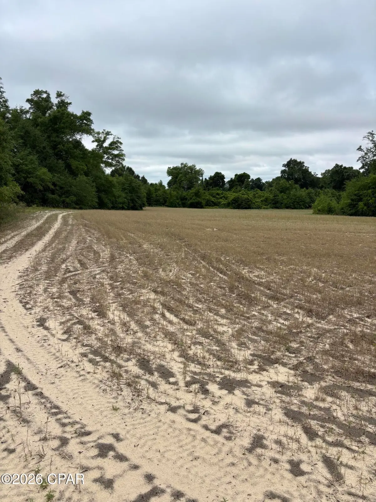 0 Blue Springs Road, Greenwood, FL 32443 - #1