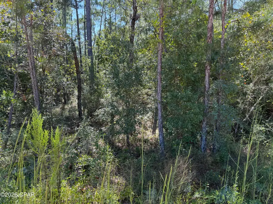 0 Abraham Street, Alford, FL 32420 - #3