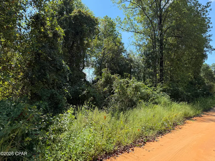 0 Anderson Drive, Alford, FL 32420 - #2