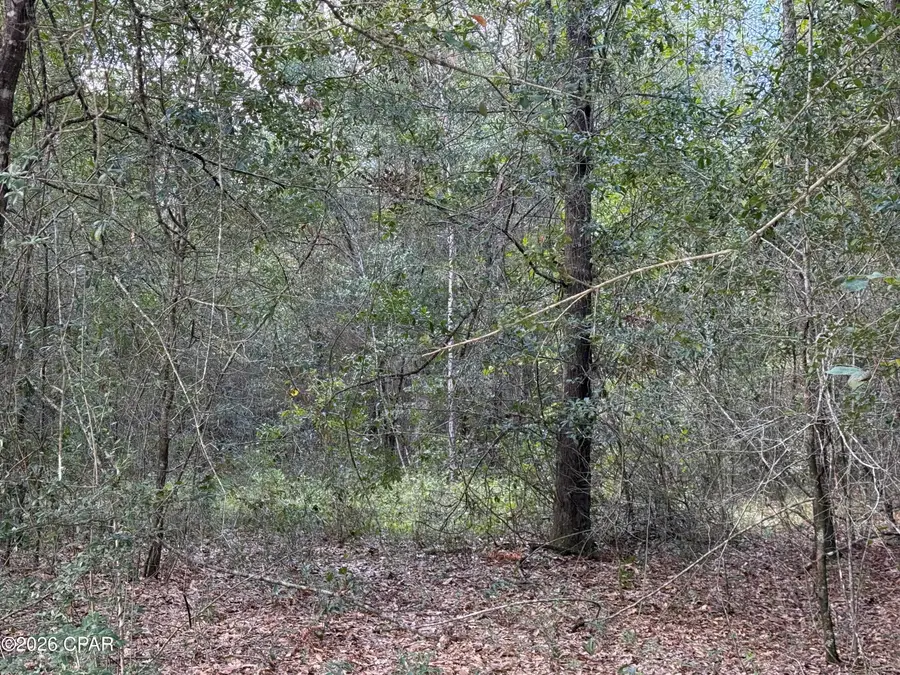 0000 Tanglewood, Fountain, FL 32438 - #3
