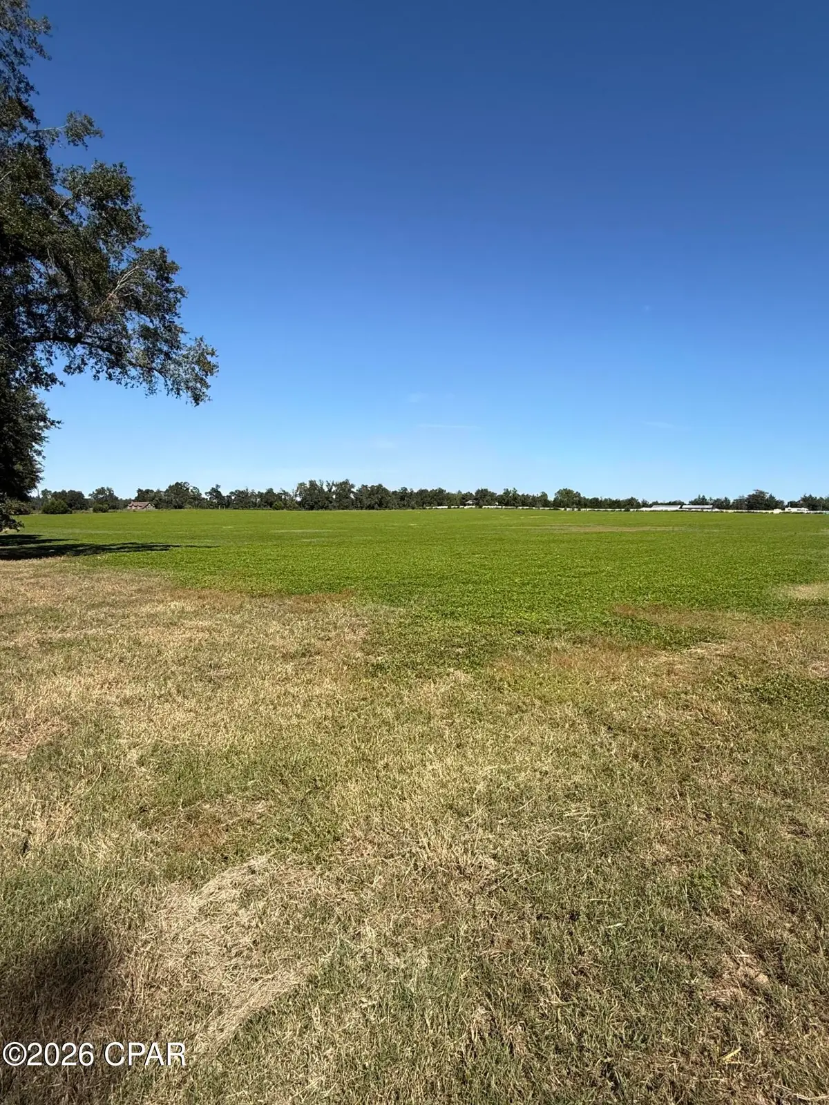 0 Dellwood Cypress Road, Grand Ridge, FL 32442 - #1