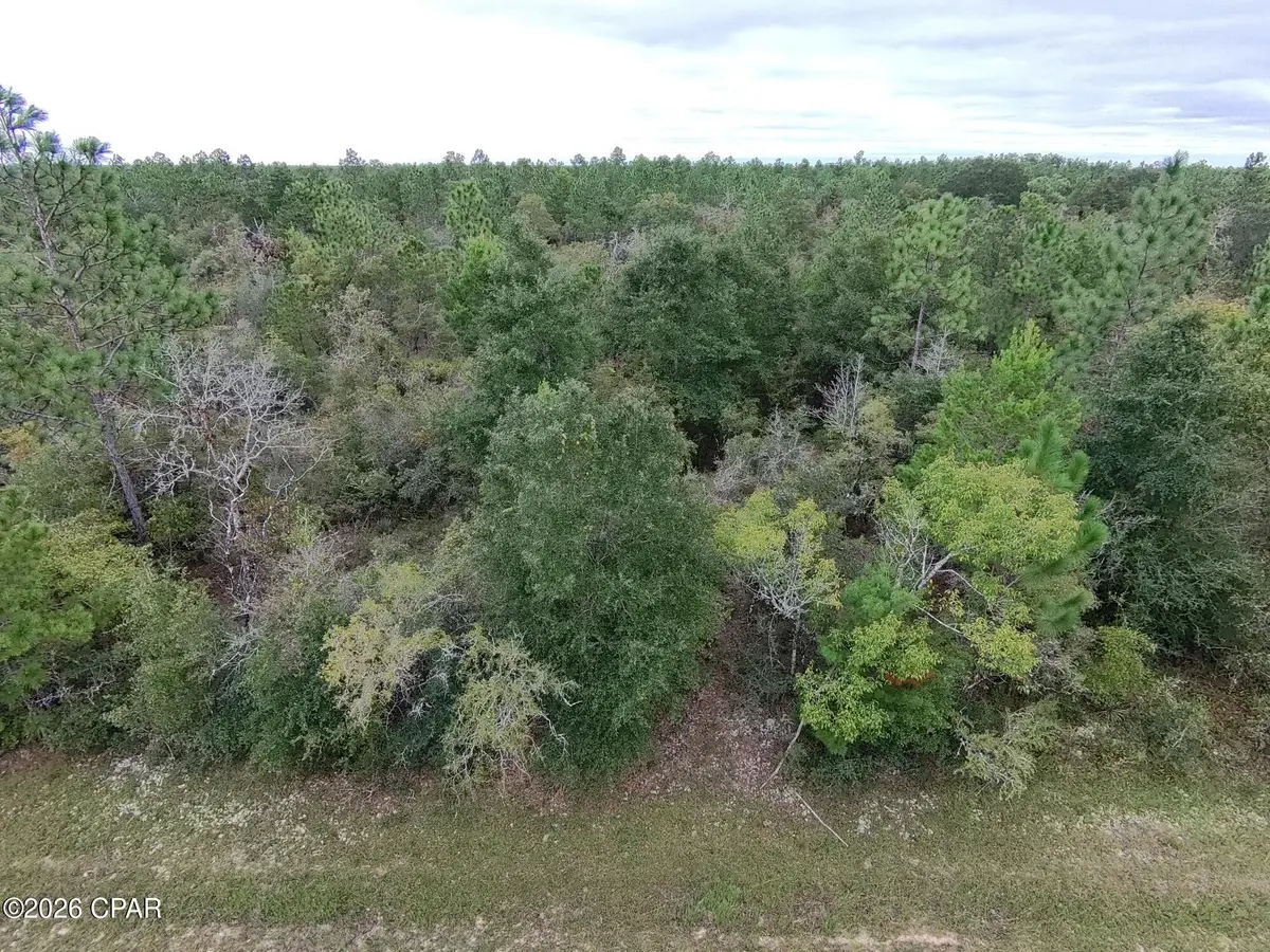 LOT 5 Maywood Street, Chipley, FL 32428 - #1