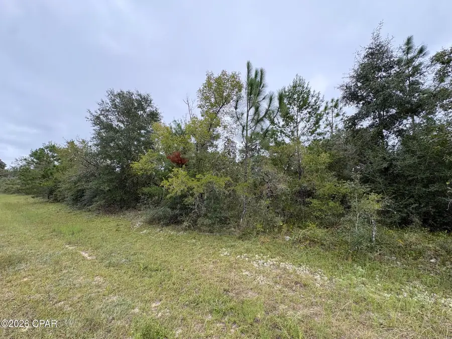 LOT 5 Maywood Street, Chipley, FL 32428 - #3